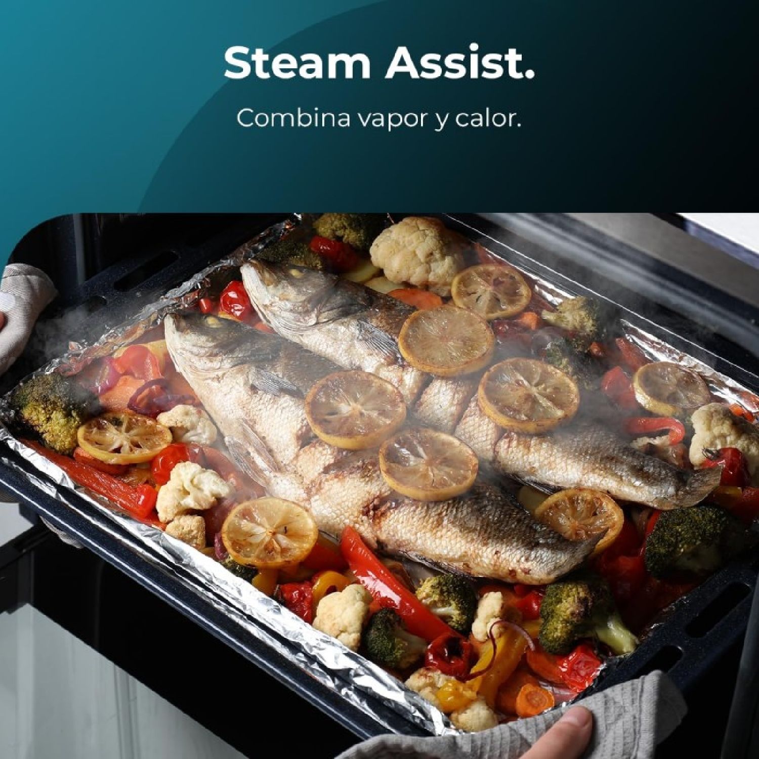 Horno Multifunción Bolero Hexa M226000 Glass Grey  A Cecotec