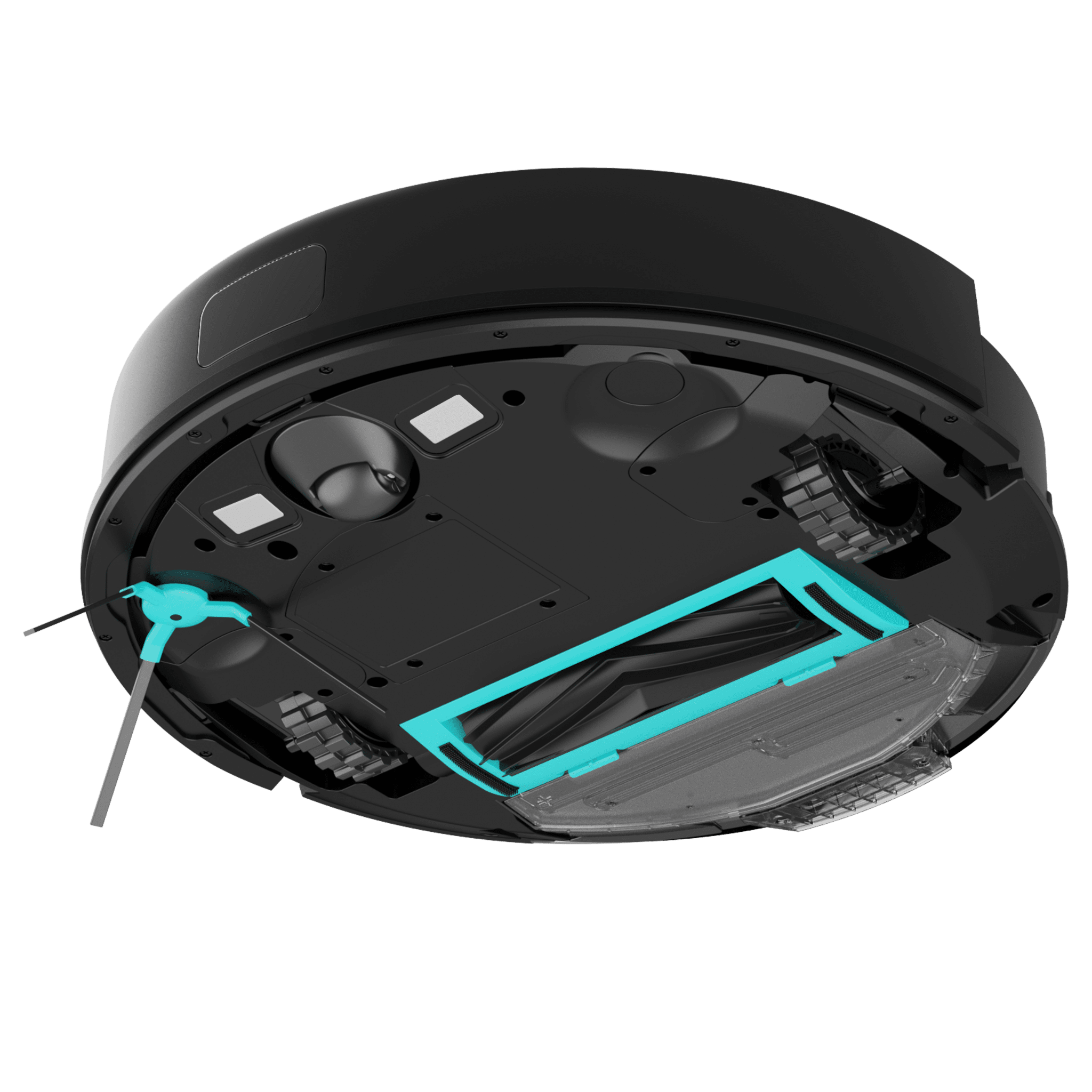 Conga 7690 Immortal Max