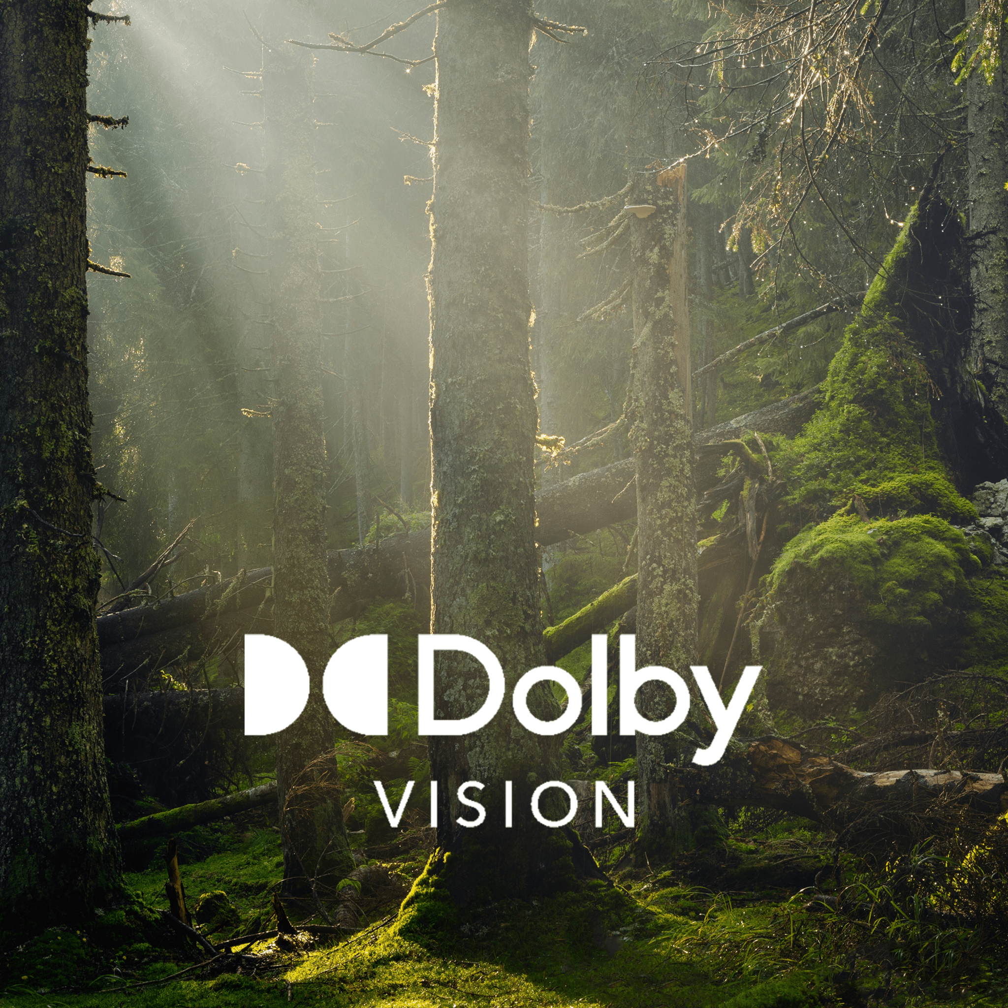 TV A2 Series ALU20065S