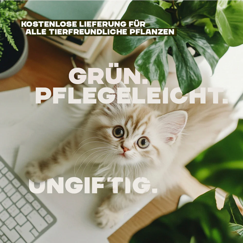 Diese Pflanzen sind ungiftig für Katze und Hund