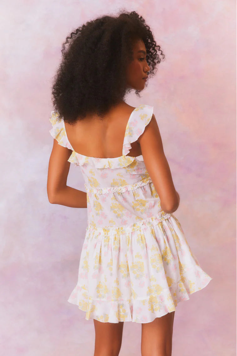 Frista Mix Print Cotton Mini Dress