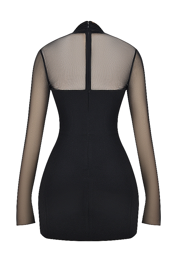 Holly-Black Plunge Mini Dress
