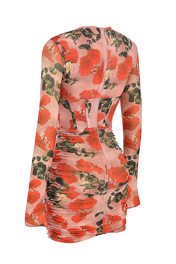 Adanna-Rose Print Corset Mini Dress