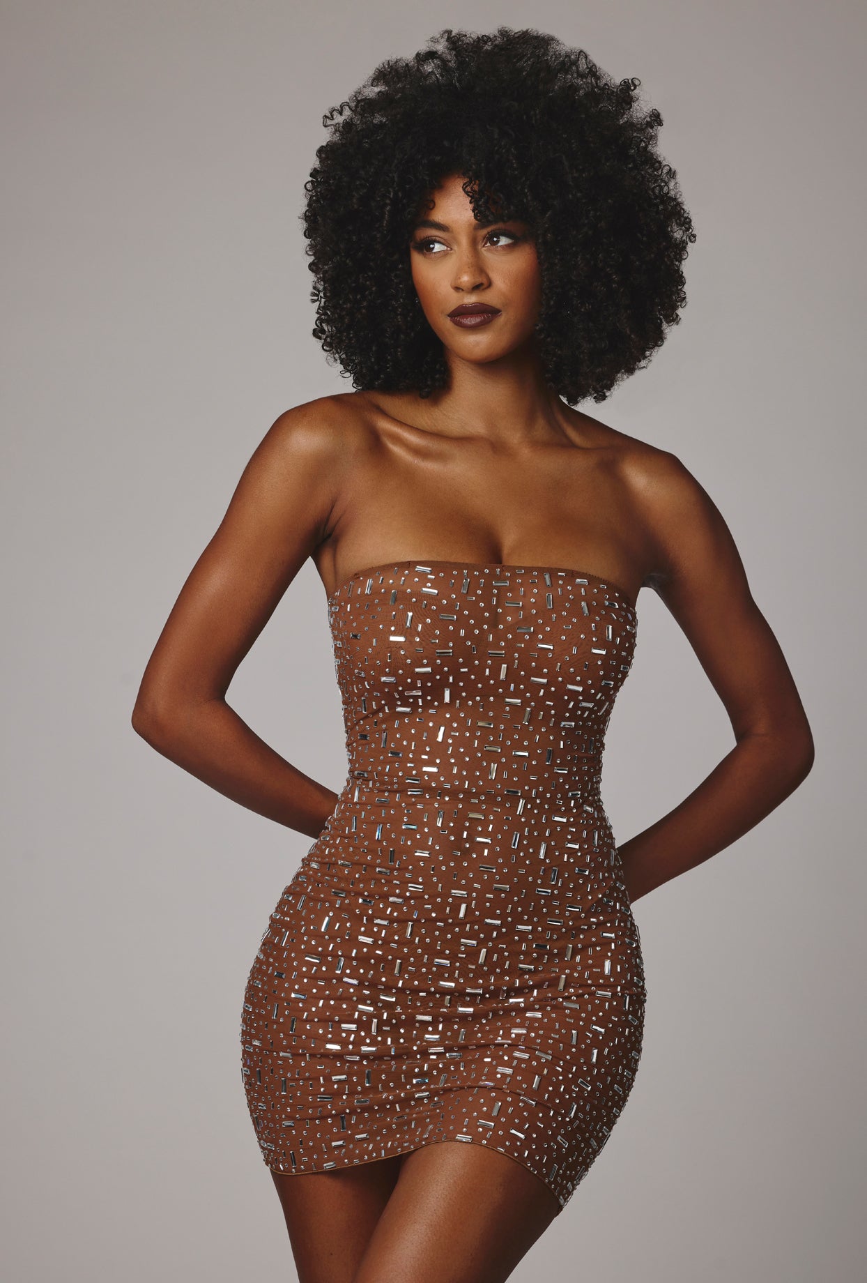 Caprice-Sheer Embellished Bodycon Mini Dress in Mocha