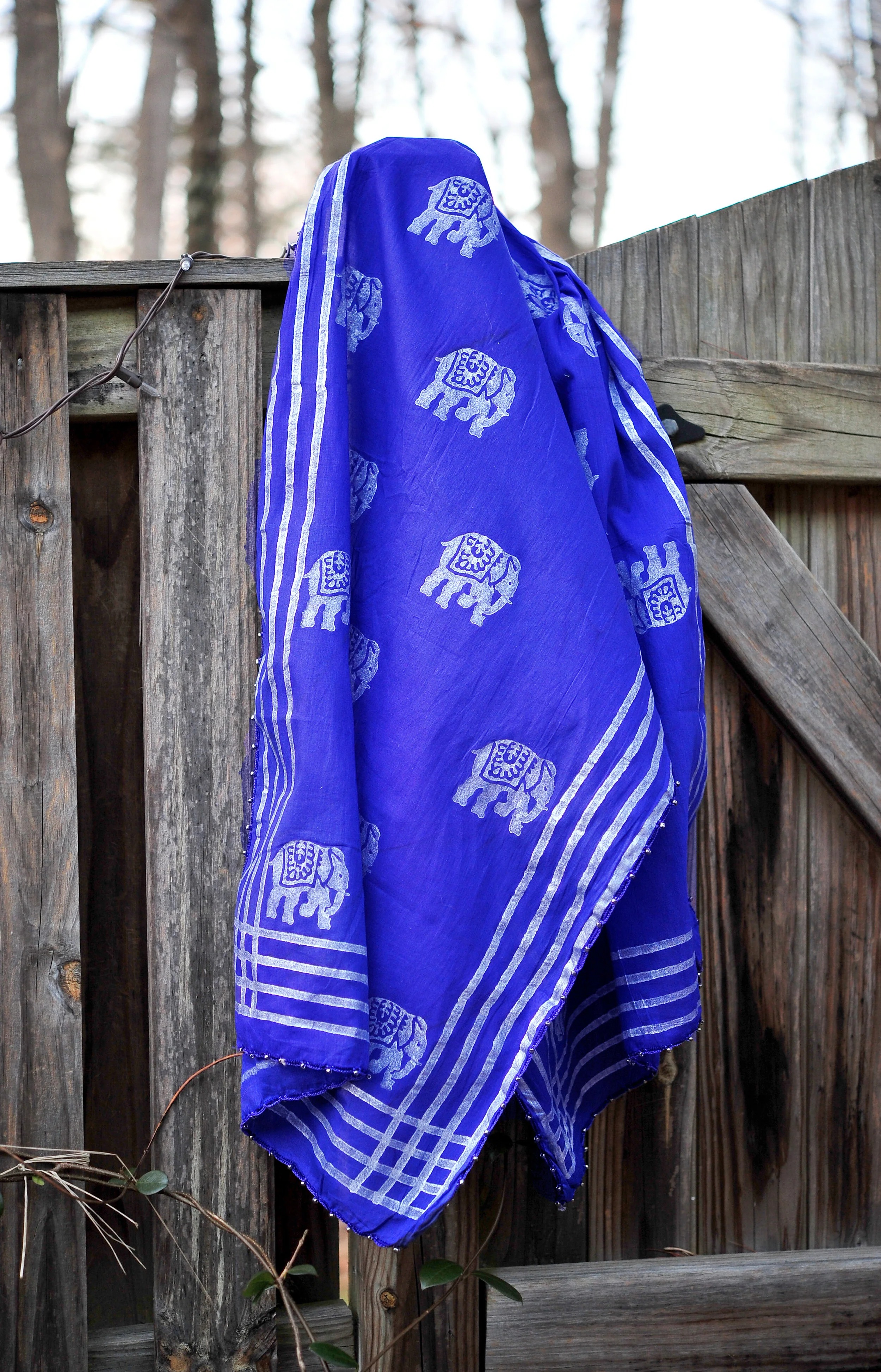 Éléphant et Rayures