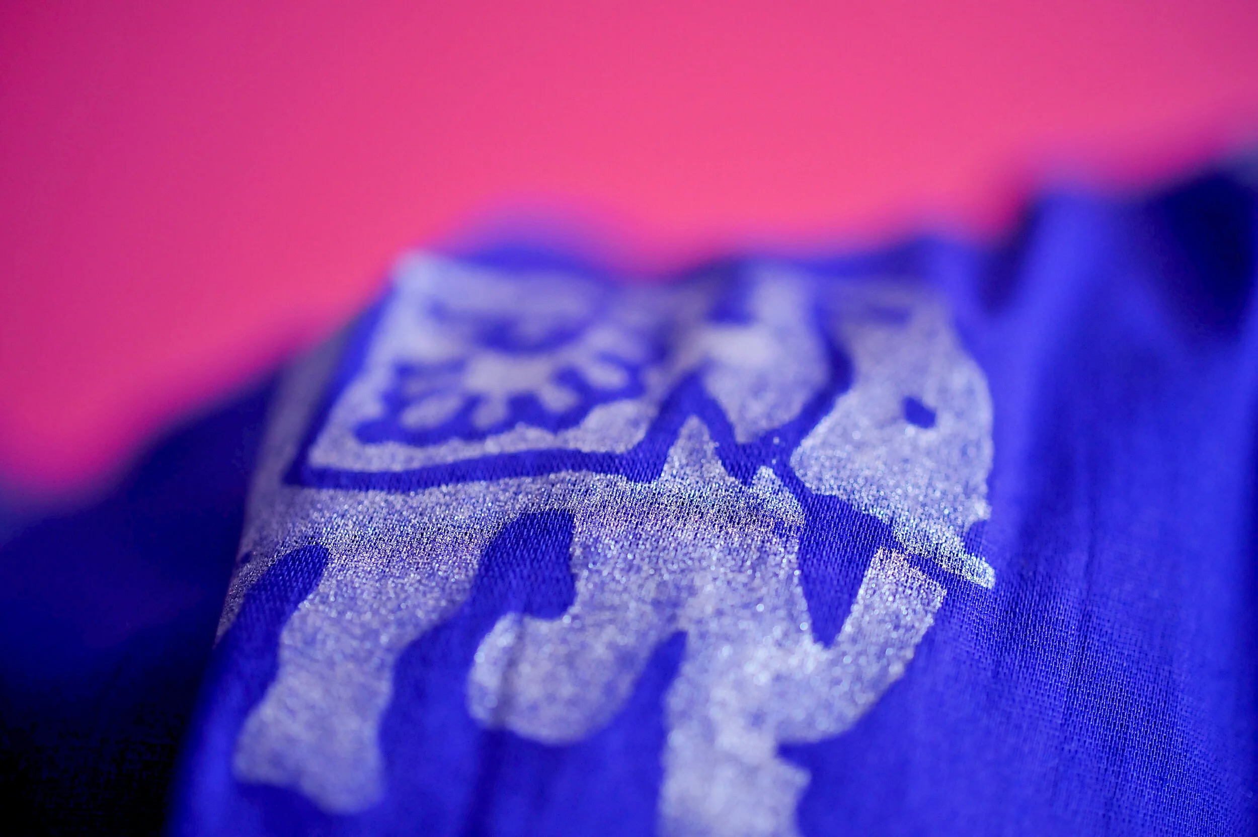 Éléphant et Rayures