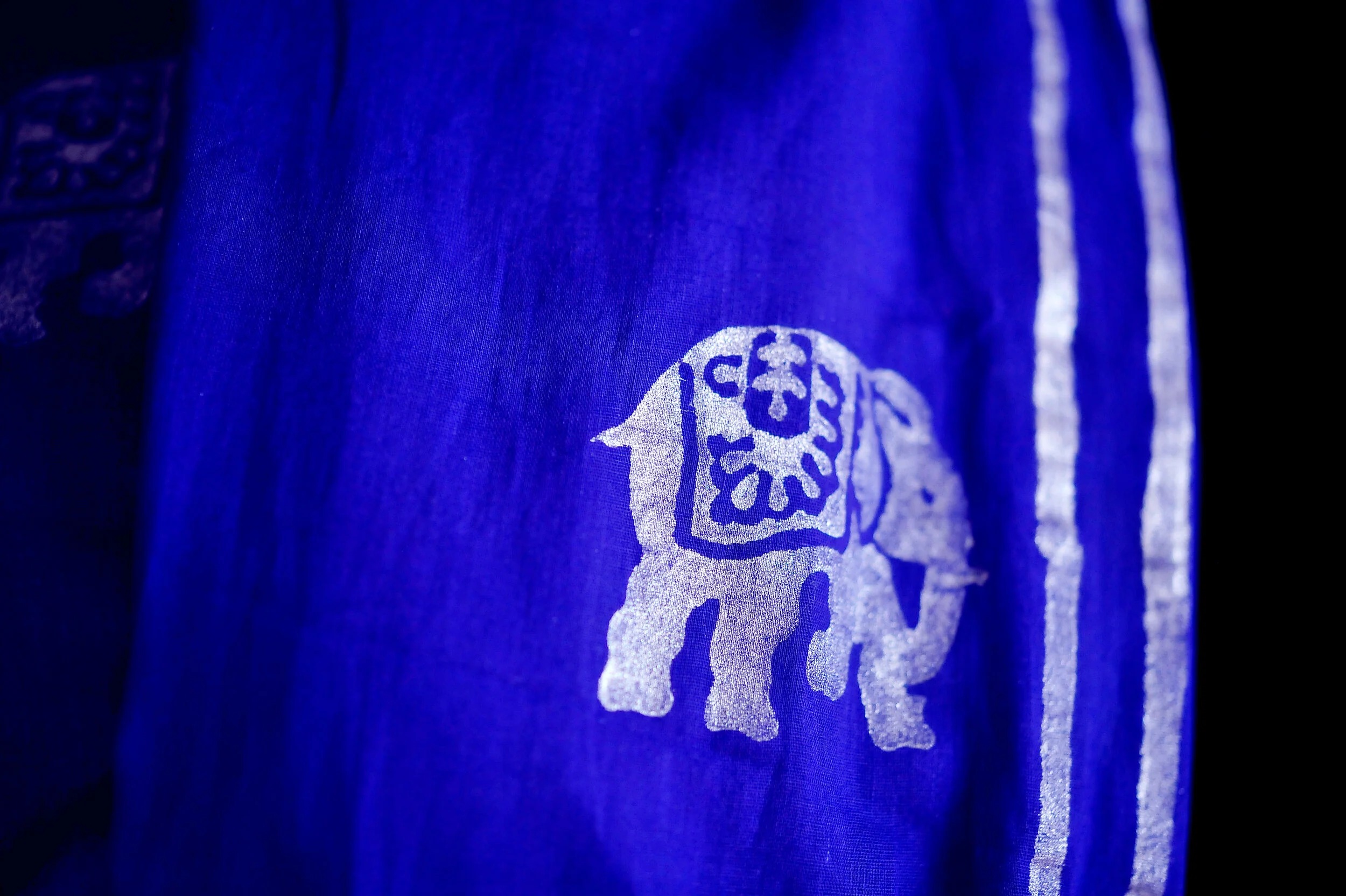 Éléphant et Rayures