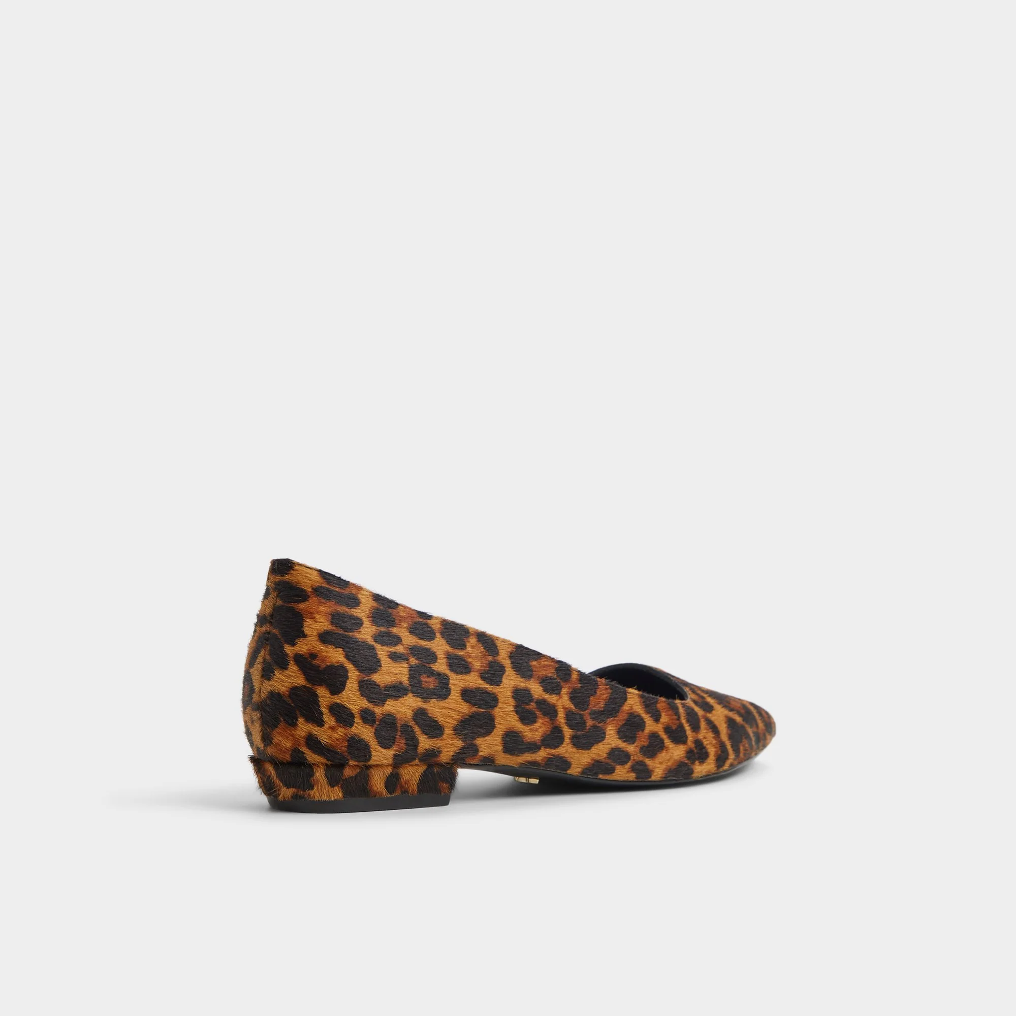 Estelli - Ballerina - ALDO