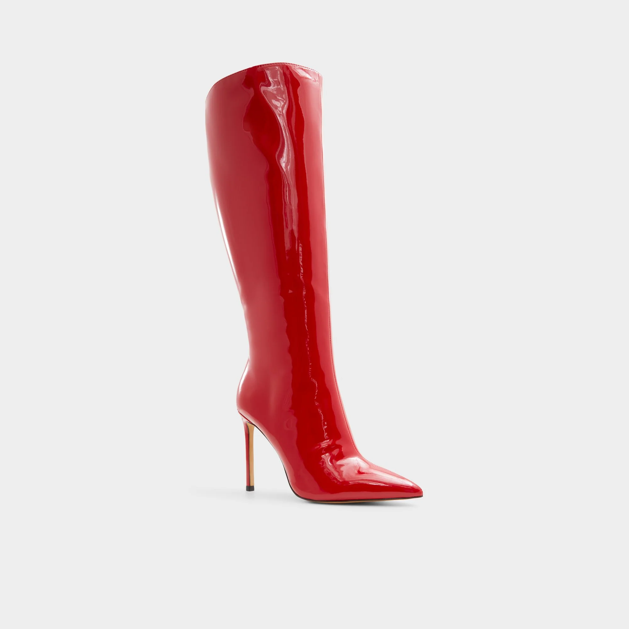 Agathea-wc - Knee-high boot, Stiletto heel - ALDO