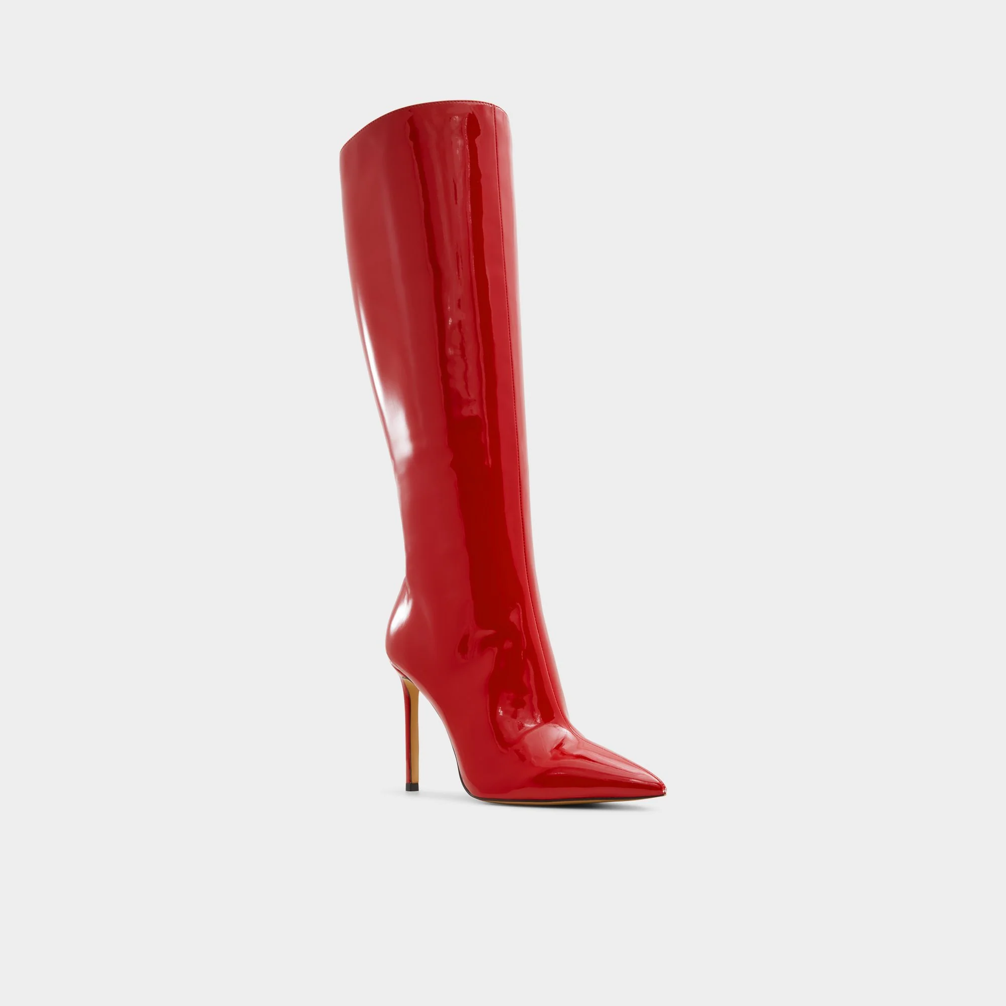 Agathea - Knee-high boot, Stiletto heel - ALDO