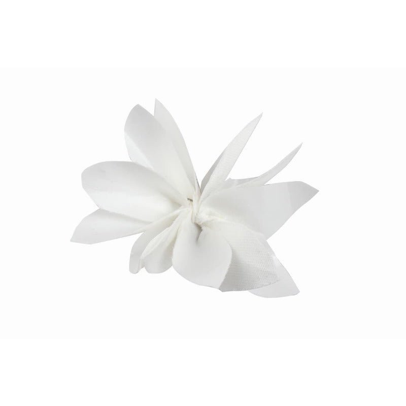 Traje de Cosplay de Lucy Maud Montgomery para Halloween - Inspirado en Bungo Stray Dogs - Fantasia Cosera