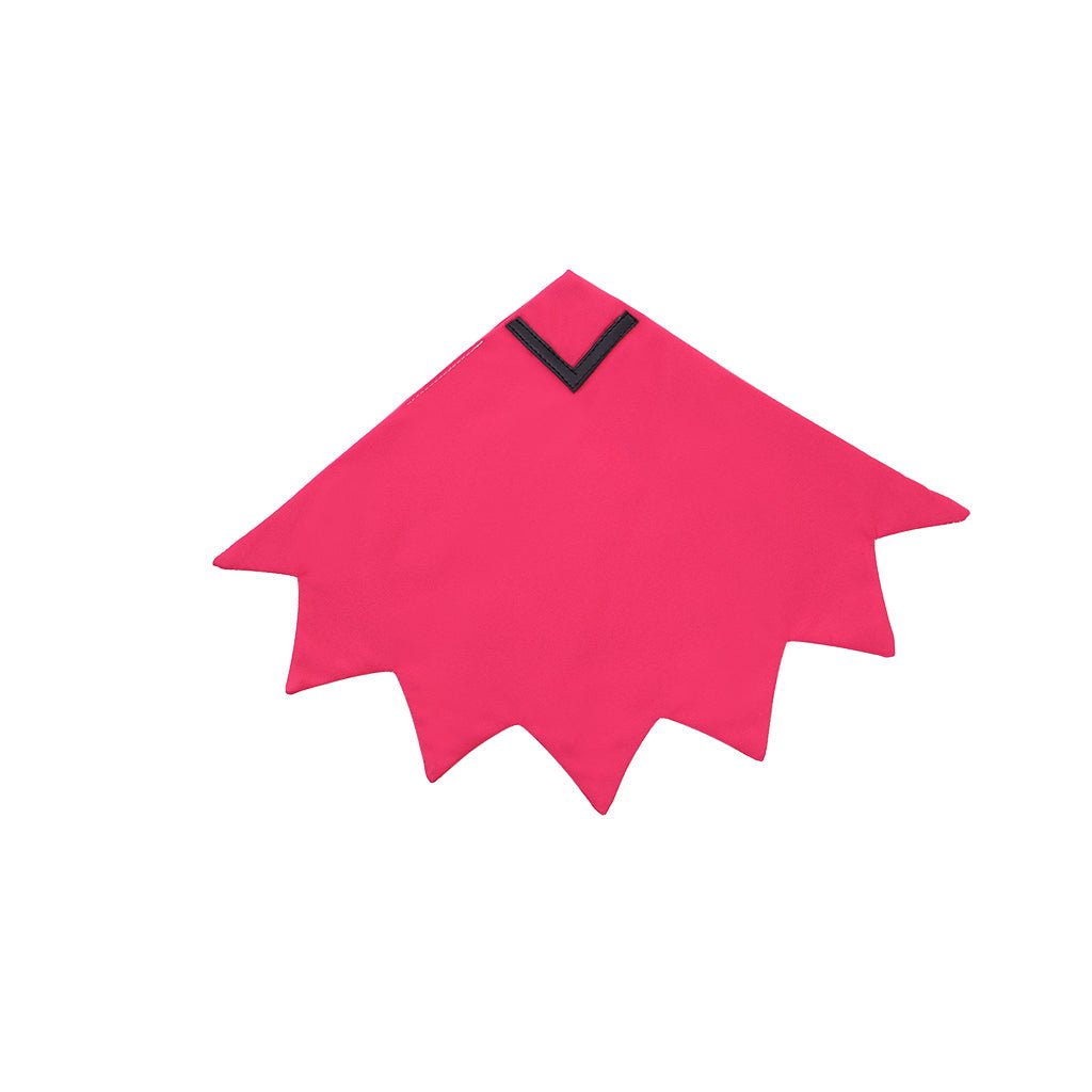 Pokémon Omega Ruby y Alpha Sapphire - Traje de Cosplay de Zinnia - Fantasia Cosera