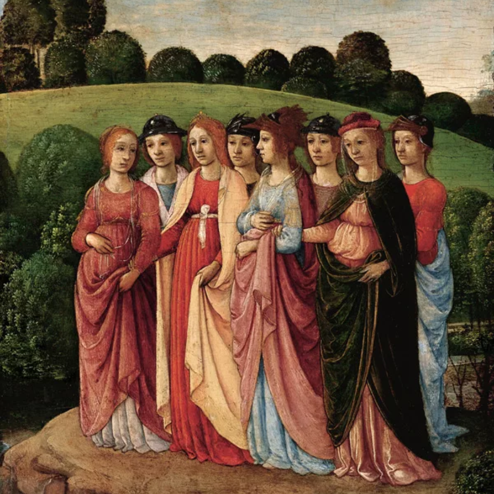 Renaissance Cosplay Costume -Traje de la Época Renacentista para Cosplay - Fantasia Cosera