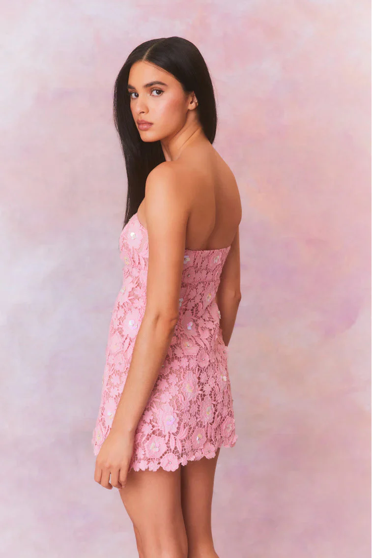 Paulinette Iridescent Sequin Mini Dress