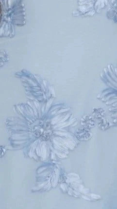 Lanesia Mini Dress - Blue