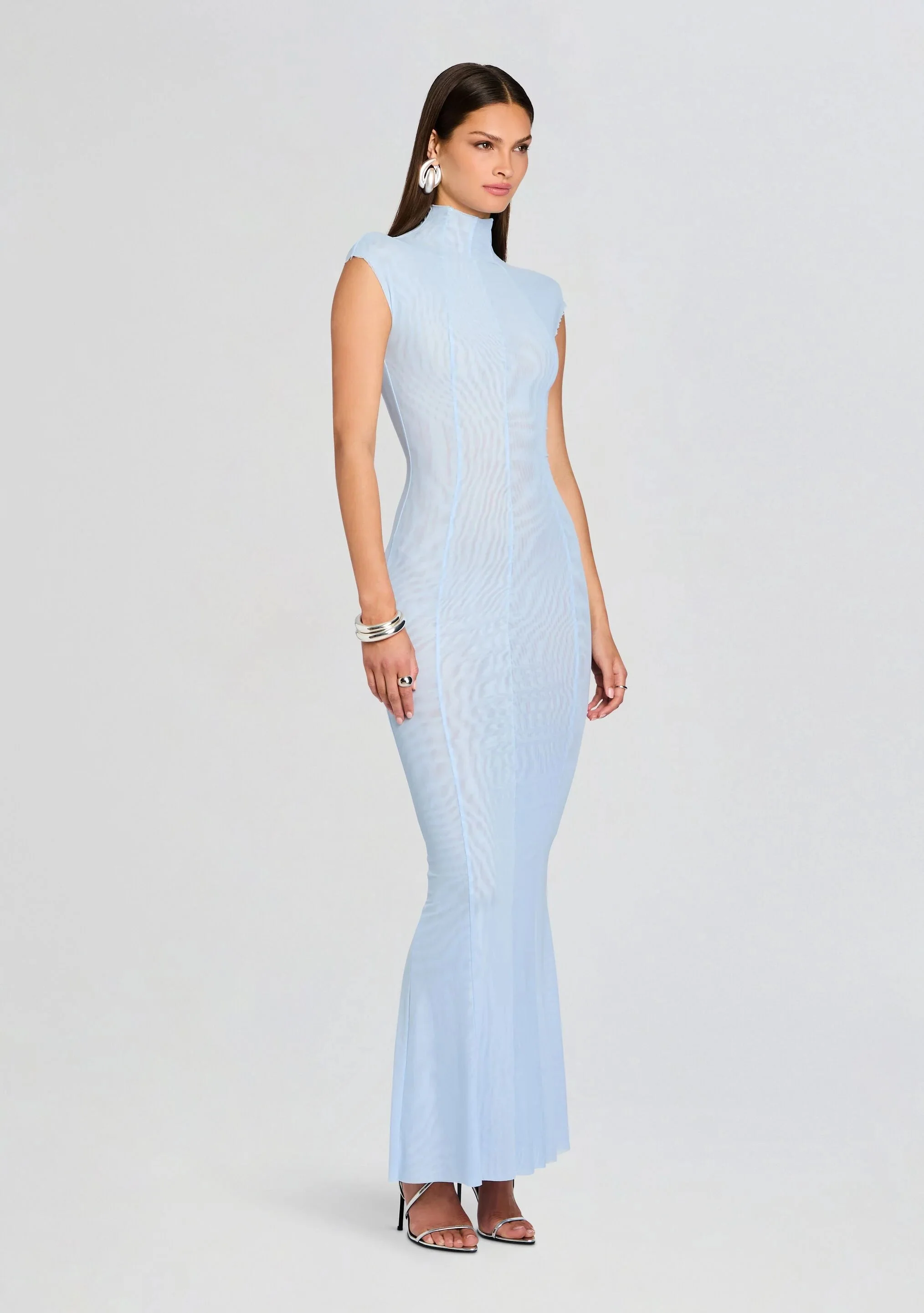Laissa Mesh Maxi Dress