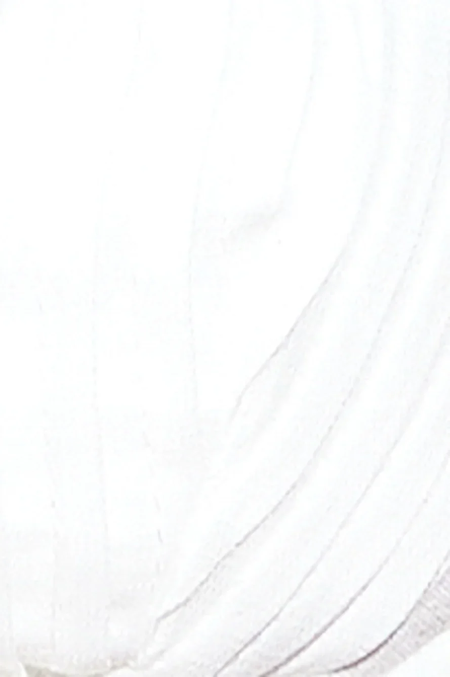 Lace Moment Crop Top White