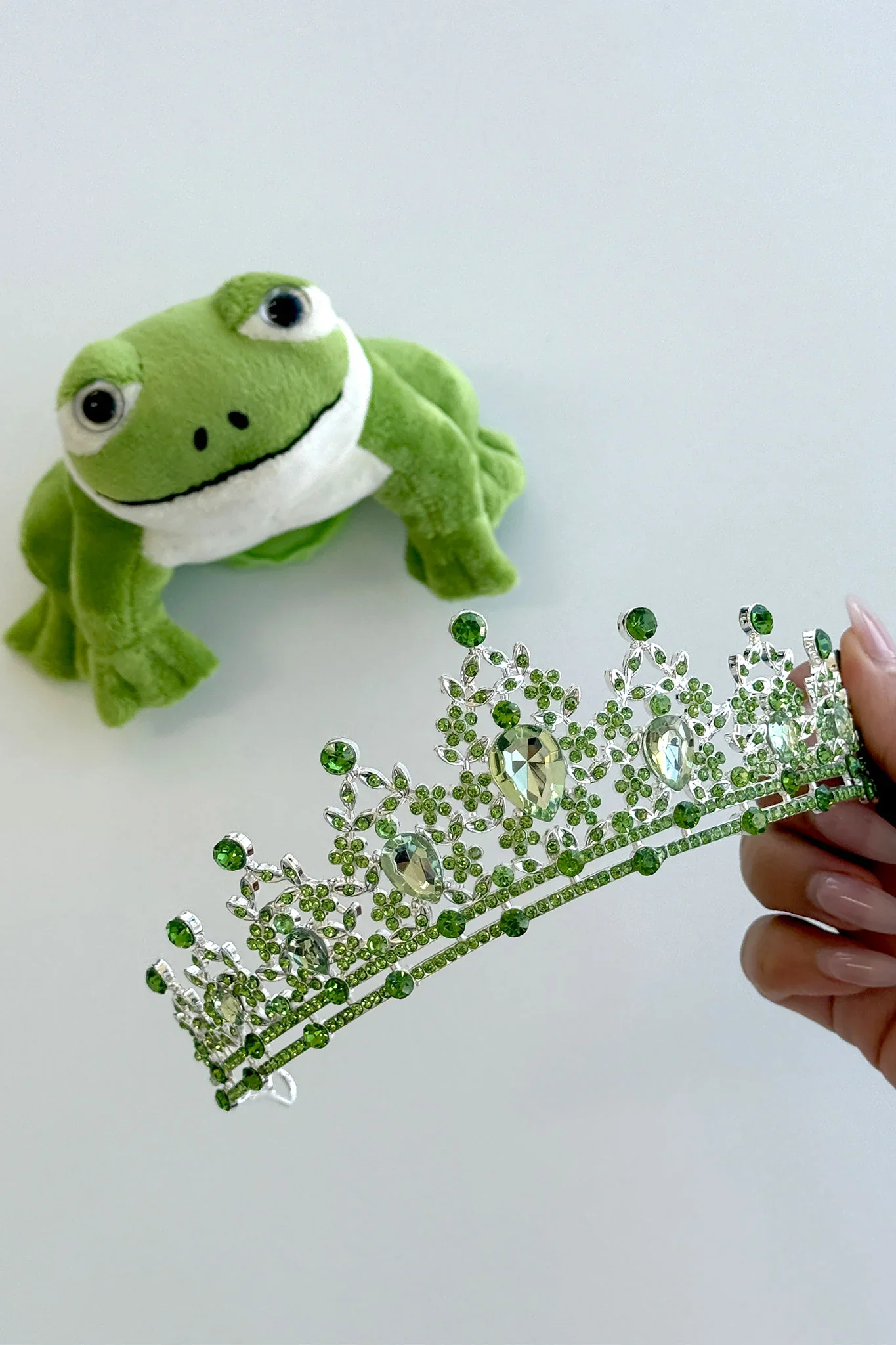 Kiss the Frog 2 Piece Accessory Kit