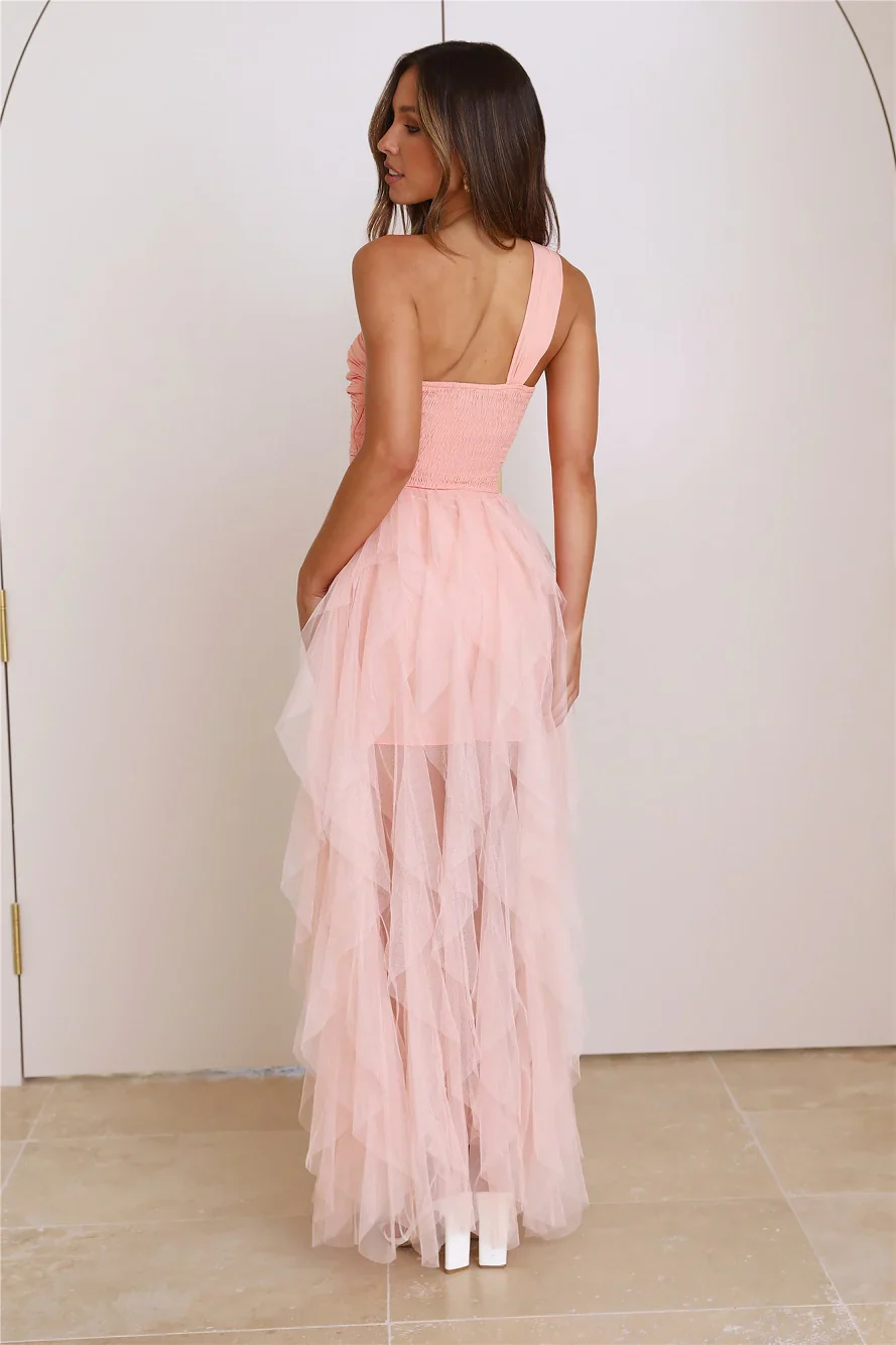 Lavish Style Tulle Maxi Dress Pink