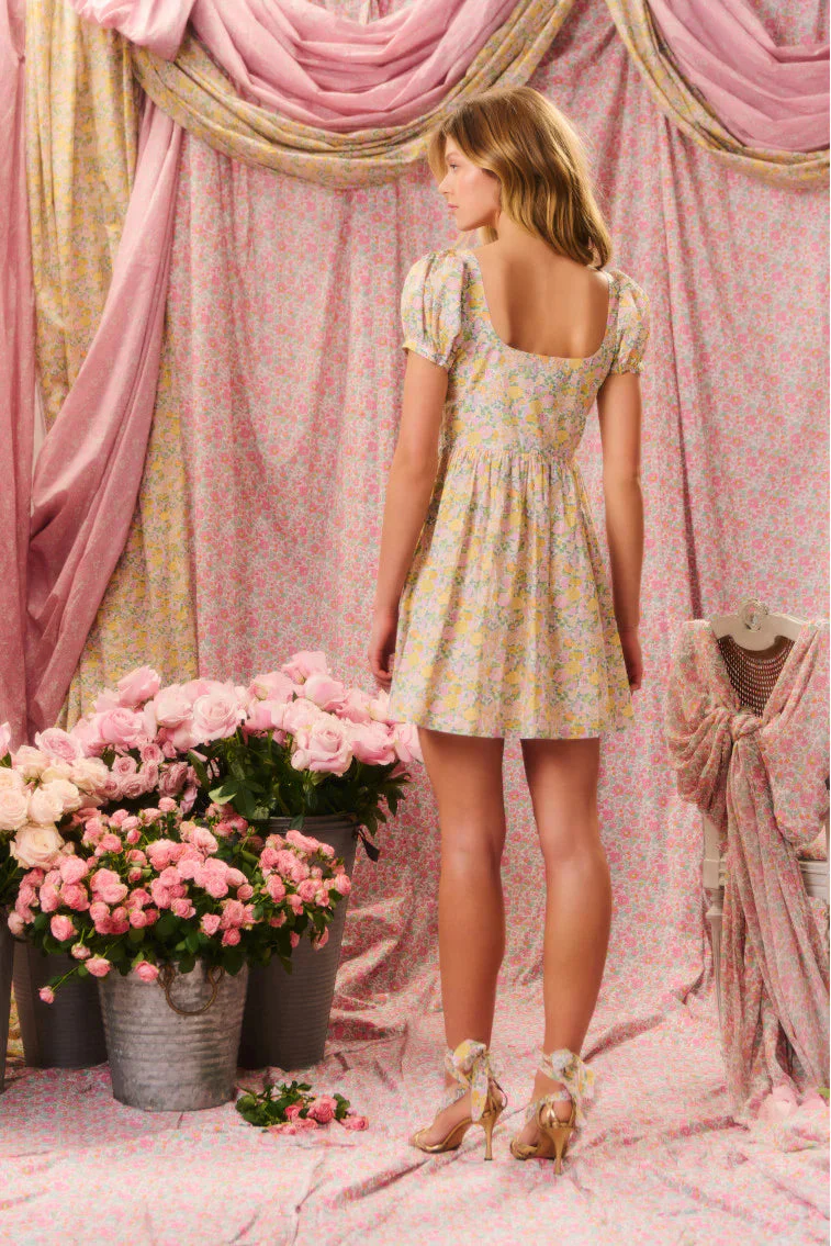 Raleigh Liberty Fabric Baby Doll Mini Dress