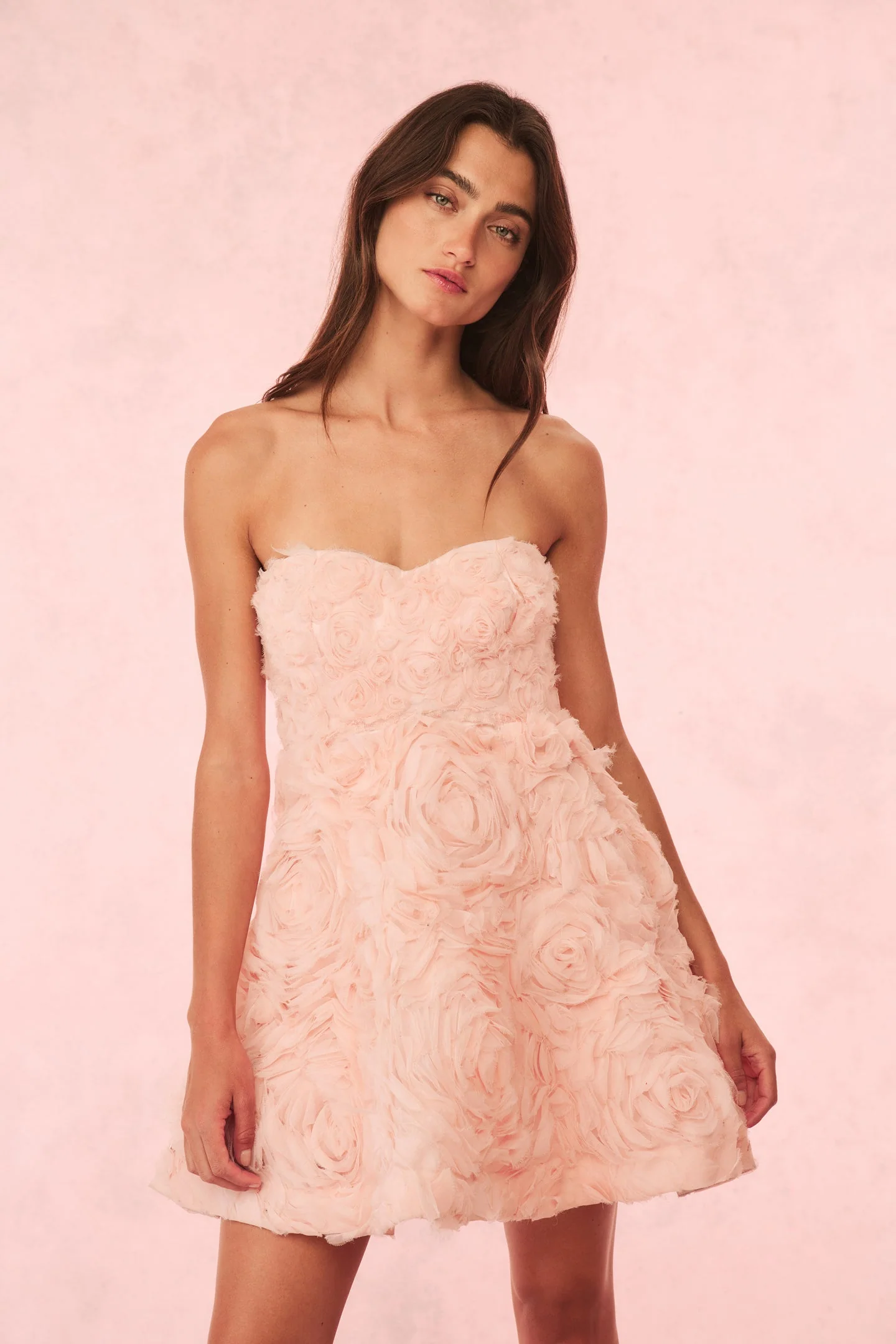 Bellamina Organza Rose Mini Dress