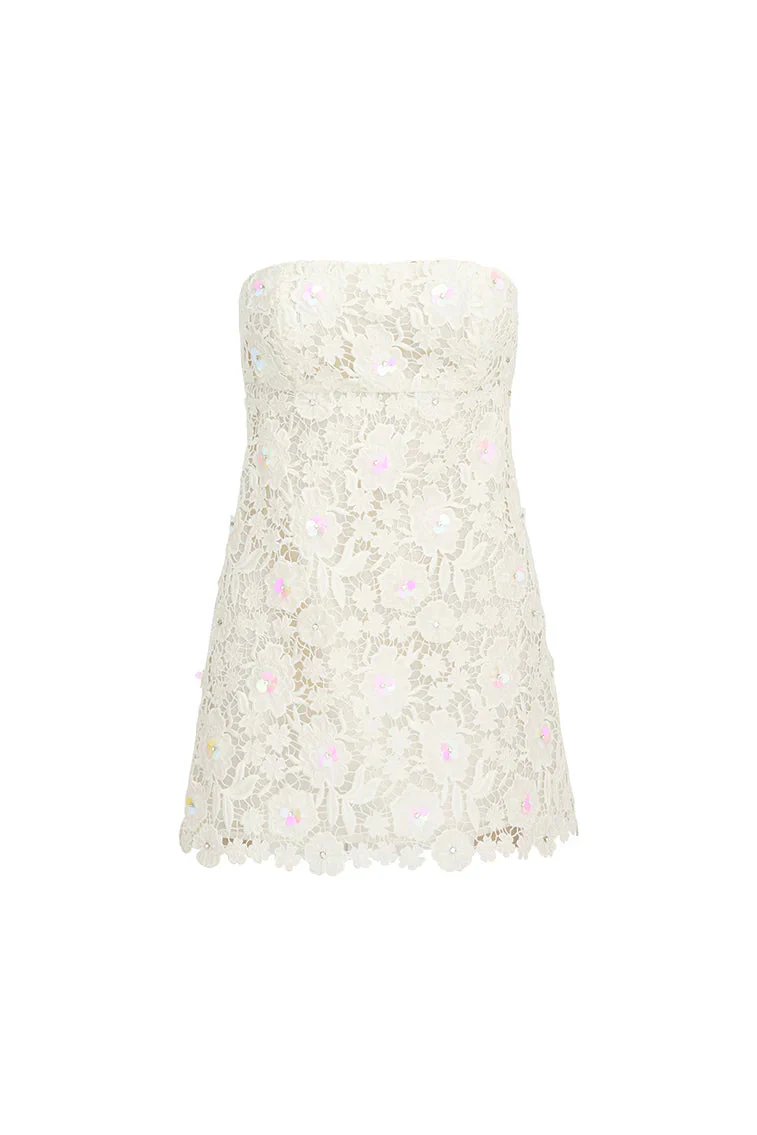 Paulinette Iridescent Sequin Mini Dress