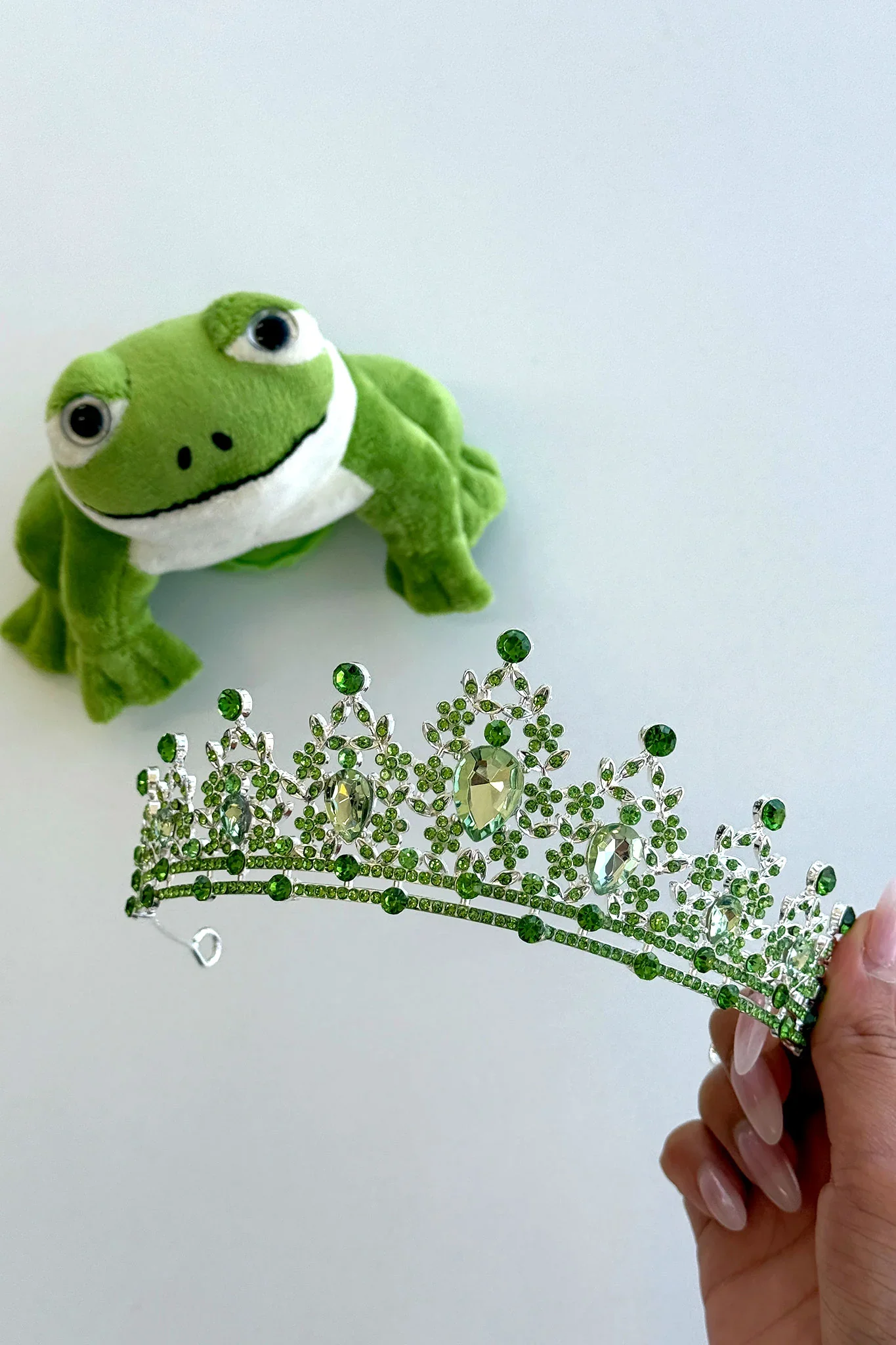 Kiss the Frog 2 Piece Accessory Kit