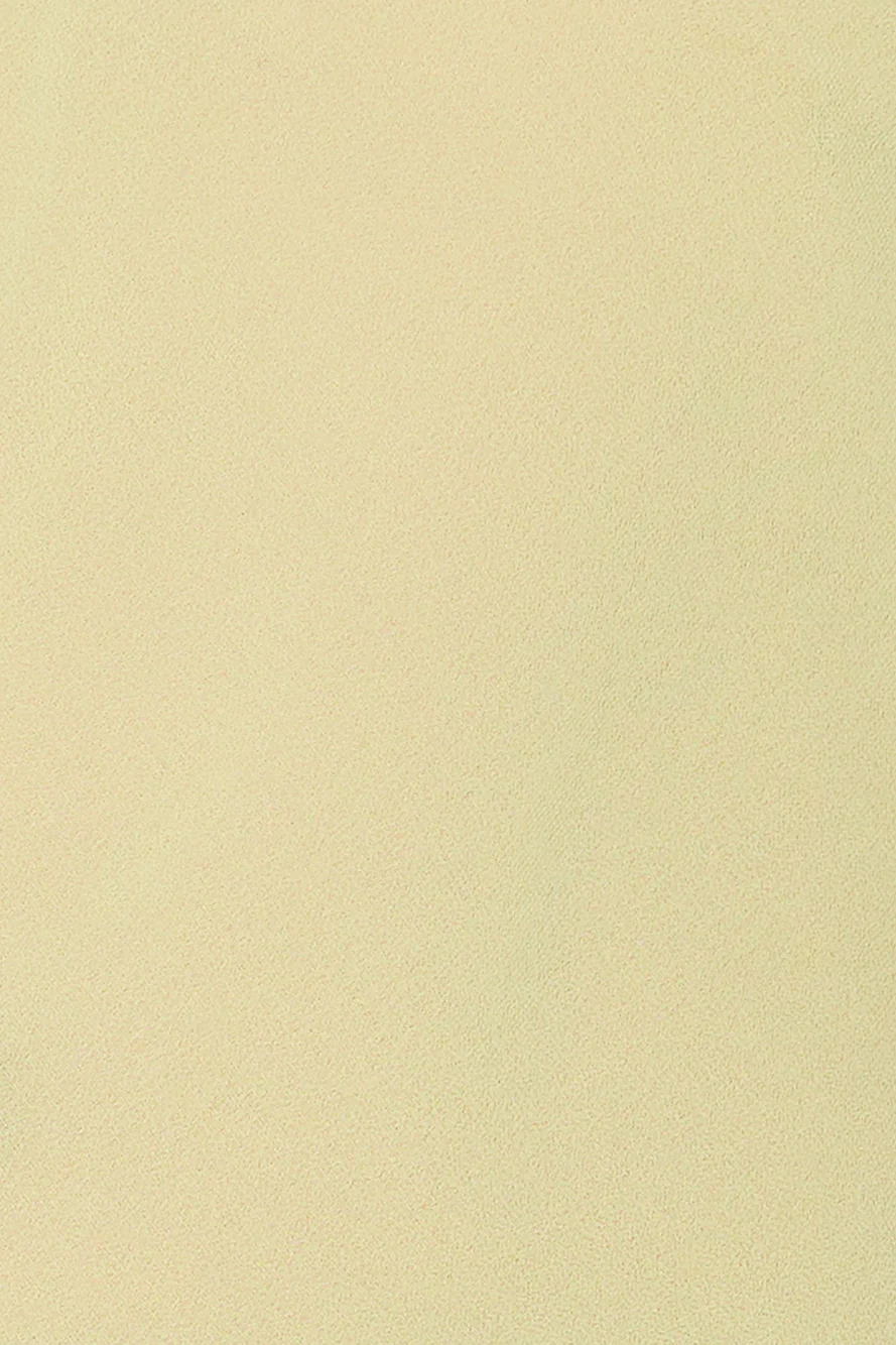 LIONESS Rendezvous Halter Top Lime