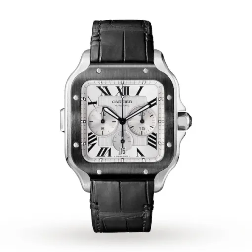 Cartier Santos de Cartier Men Automatic Silver Rubber Watch WSSA0017 - Bestter Watches