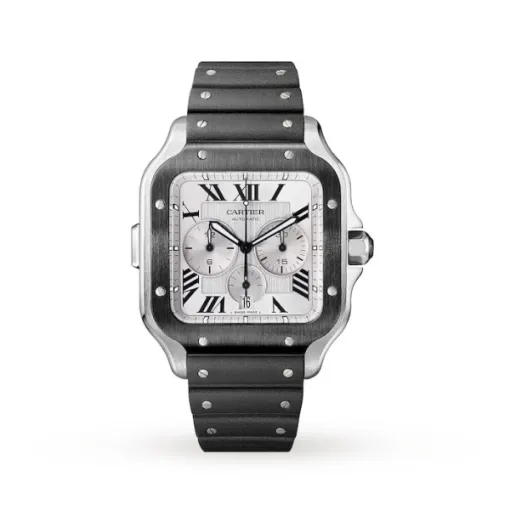 Cartier Santos de Cartier Men Automatic Silver Rubber Watch WSSA0017 - Bestter Watches