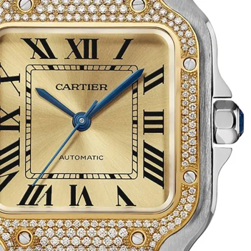 Cartier Santos de Cartier Women Automatic Gold Watch W3SA0007 - Bestter Watches