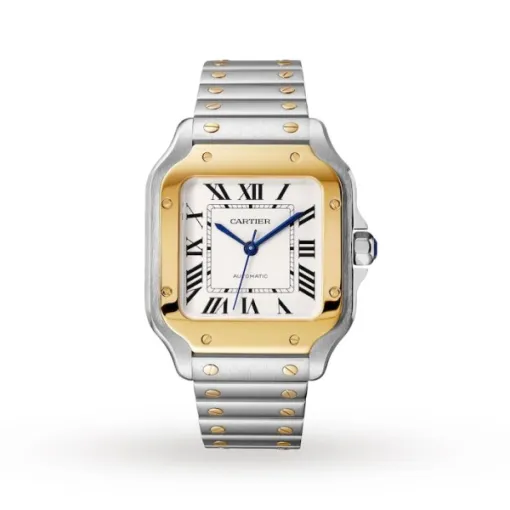 Cartier Santos de Cartier Men Automatic Silver Stainless Steel Watch W2SA0016 - Bestter Watches