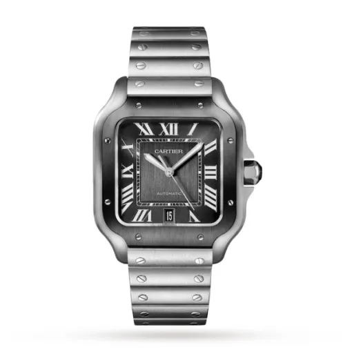 Cartier Santos de Cartier Men Automatic Grey Stainless Steel Watch WSSA0037 - Bestter Watches