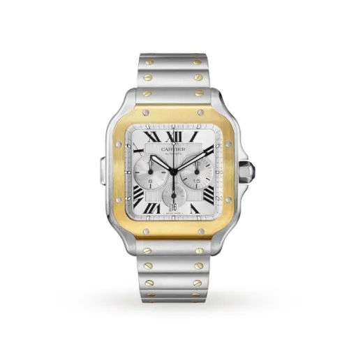 Cartier Santos de Cartier Men Automatic Silver Stainless Steel Watch W2SA0008 - Bestter Watches