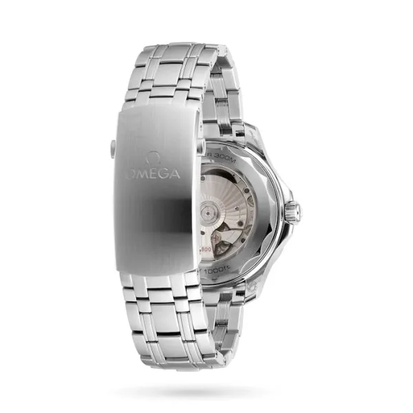 Omega Seamaster Men Automatic Black Stainless Steel Watch O21030422001001 - Bestter Watches