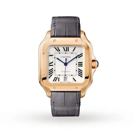 Cartier Santos de Cartier Men Automatic Silver Alligator Watch WGSA0019 - Bestter Watches