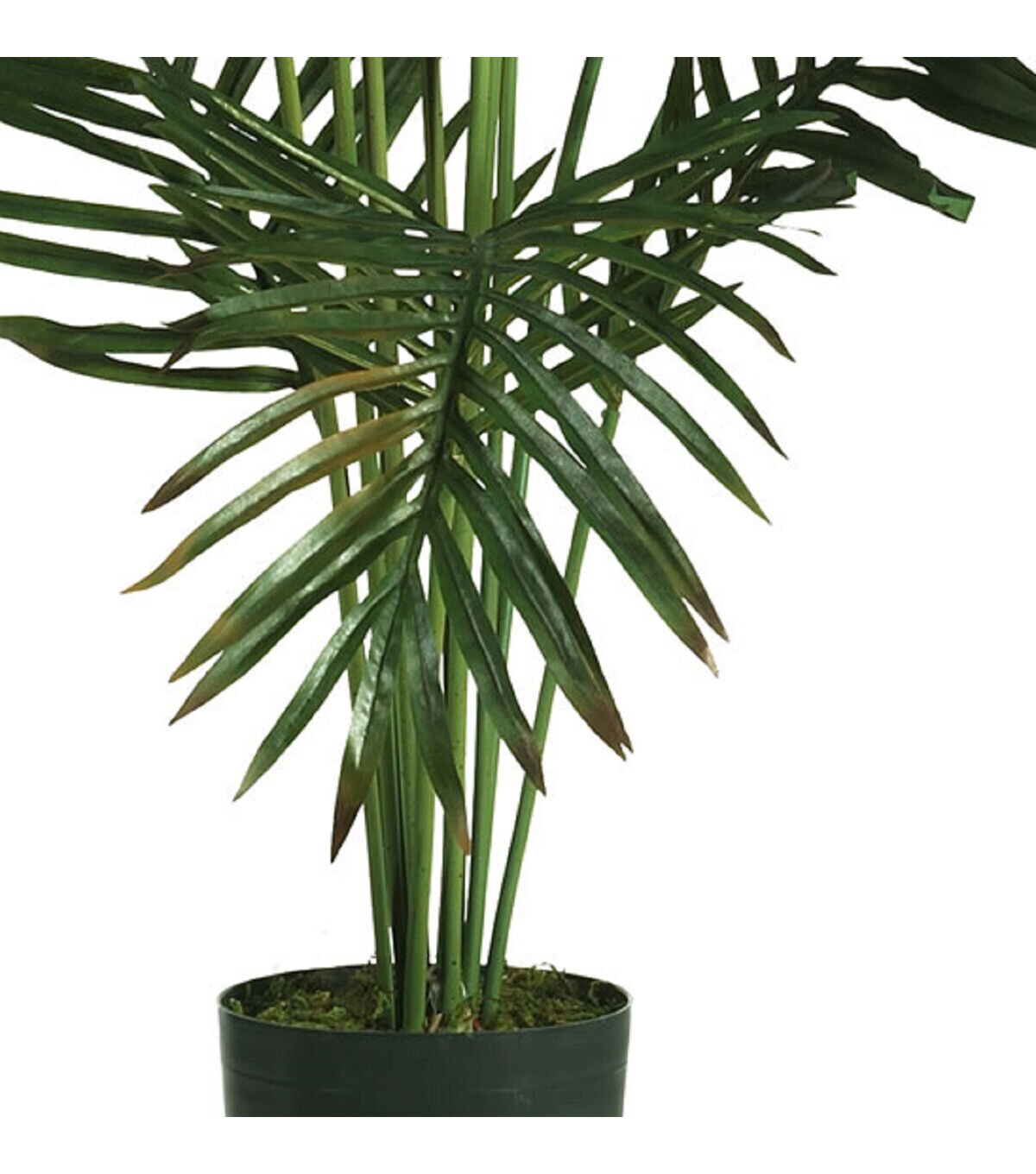 Nearly Natural 5' Paradise Palm