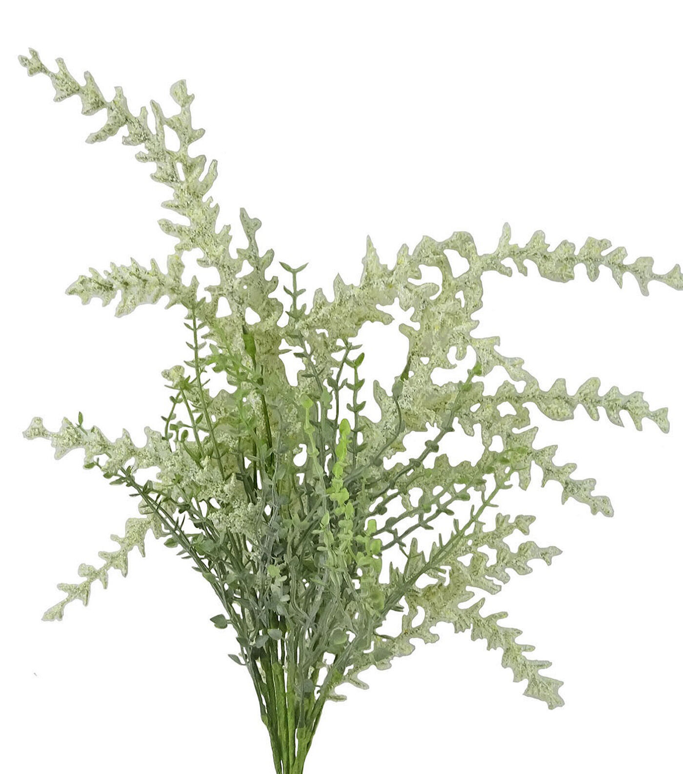 22 Cream Lavender Bush by Bloom Room