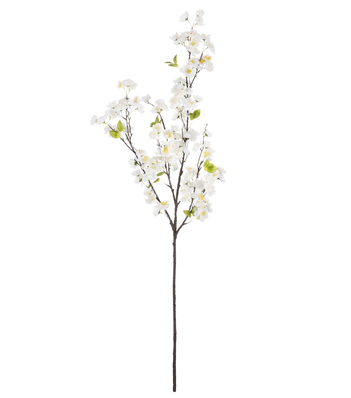 49 White Cherry Blossom Stem by Bloom Room