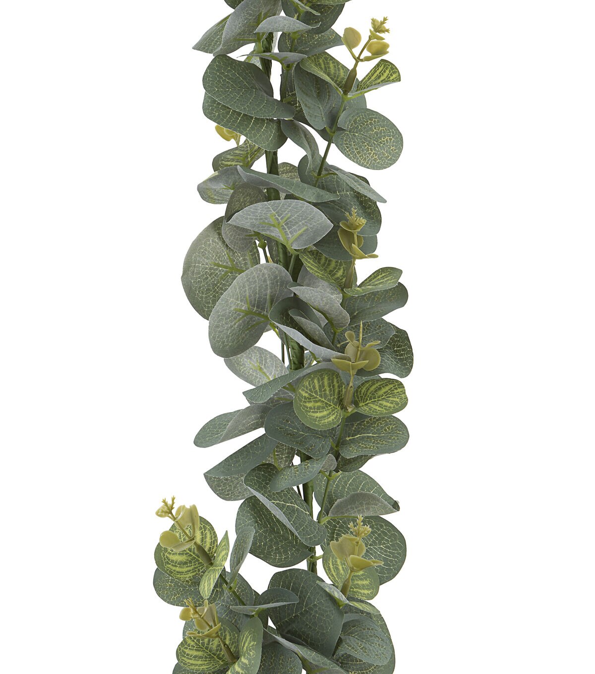 66'' Eucalyptus Leaf Garland by Bloom Room
