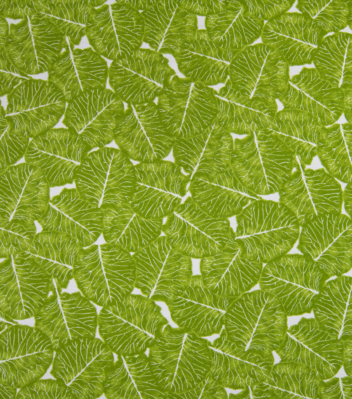 Cabbage Leaf Super Snuggle Flannel Fabric