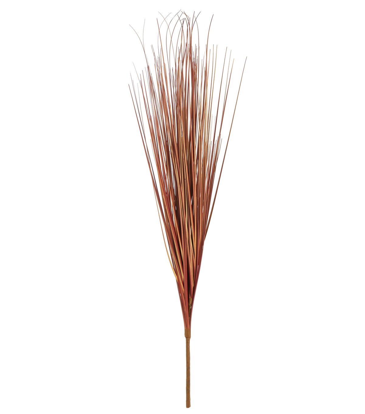 28 Red Onion Grass Bush by Bloom Room