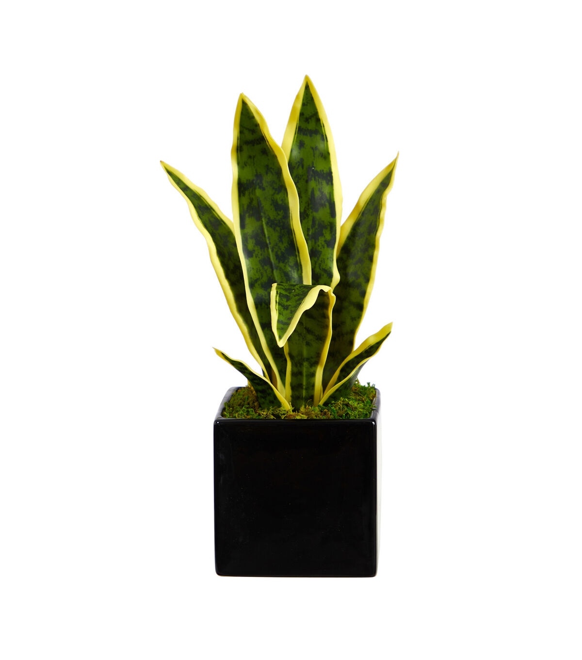 Nearly Natural 16 Artificial Sansevieria Plant in Black Planter