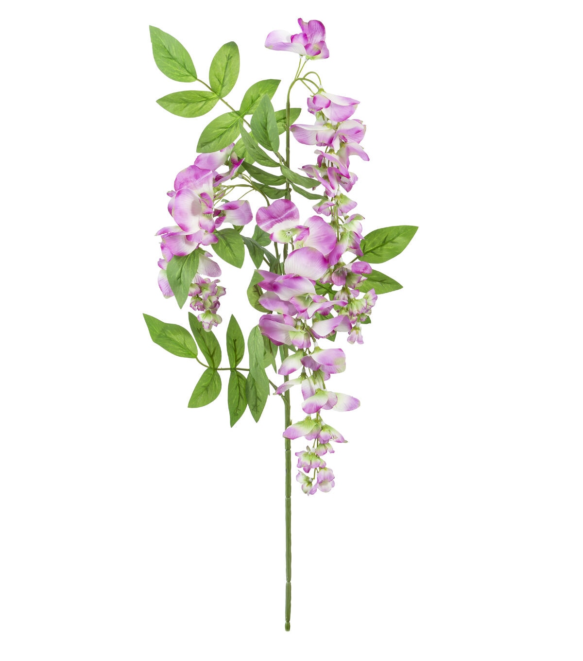 29 Purple Wisteria Stem by Bloom Room