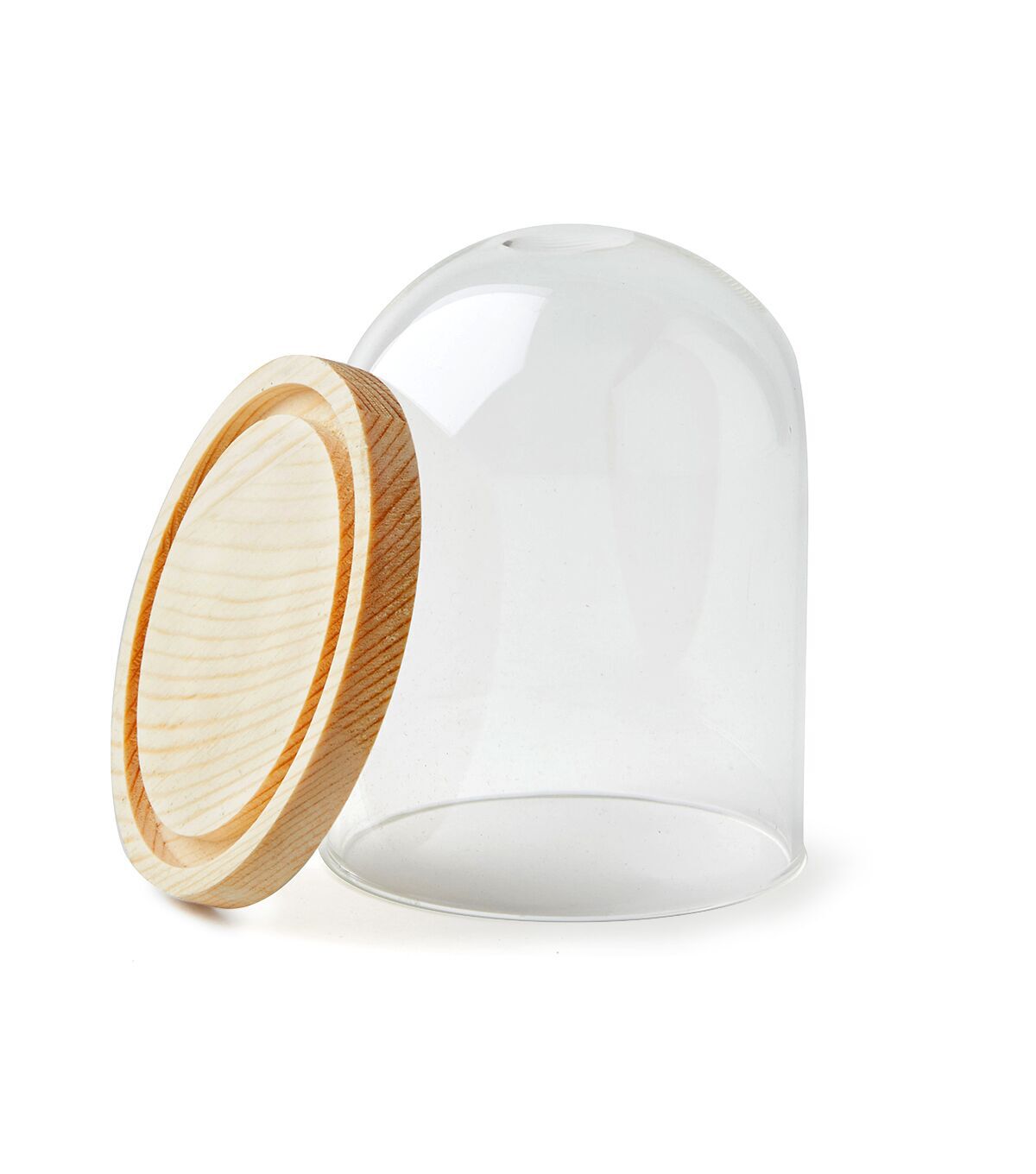 4 Dome Top Glass Terrarium by Park Lane