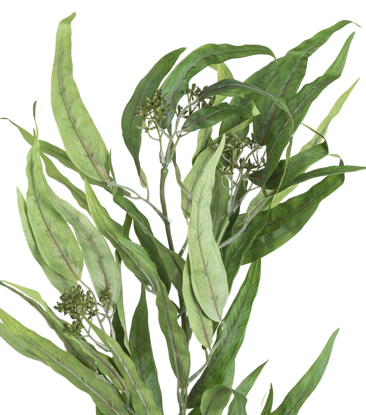 34 Willow Eucalyptus Stem by Bloom Room