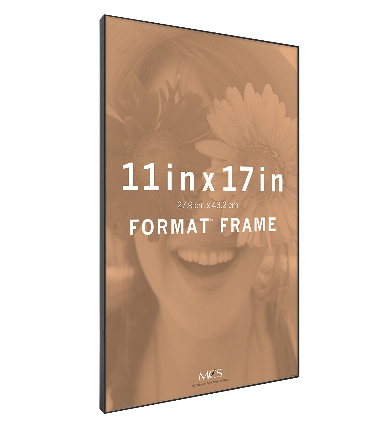 MCS 11 x 17 Front Loading Black Wall Frame