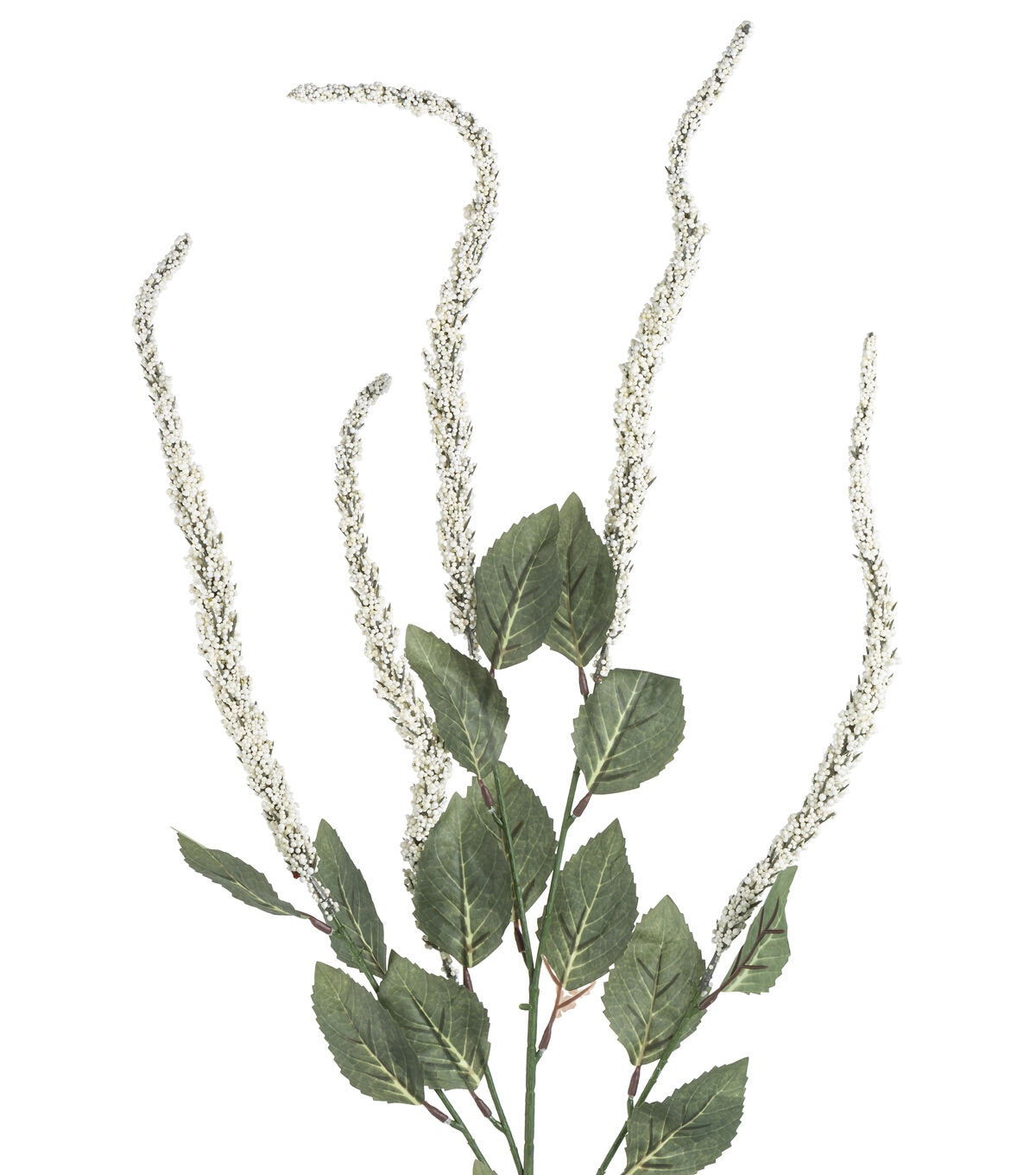 30 Cream Amaranthus Stem by Bloom Room