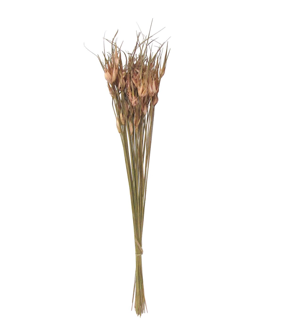 28 Mauve Dried Star Grass Bouquet by Bloom Room