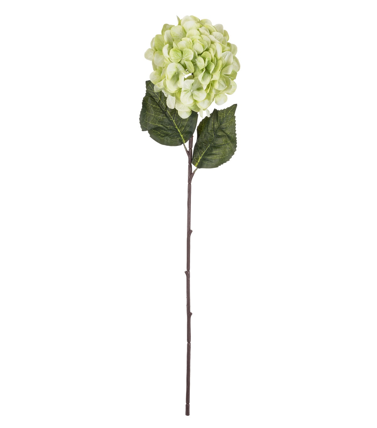 32 Green Hydrangea Stem by Bloom Room